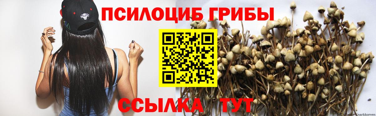 Галлюциногенные грибы MAGIC MUSHROOMS Пенза